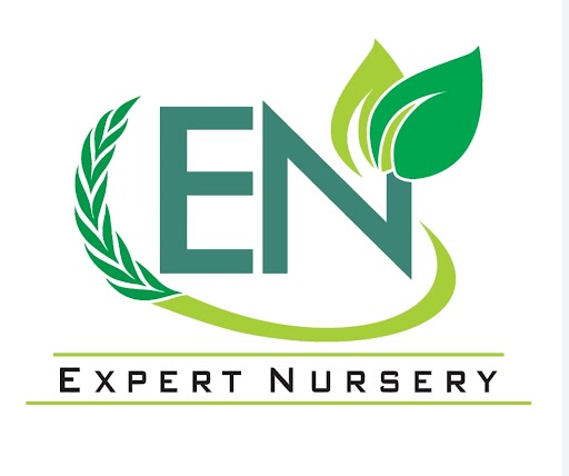 Experts Pomegranate Nursery